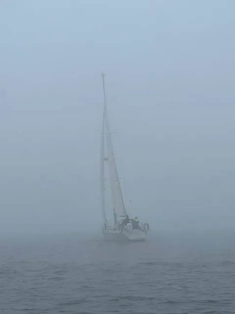 Pinta
